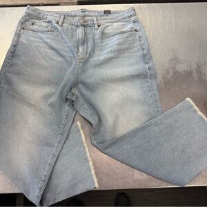 Torrid Light Blue Straight Men's Jeans